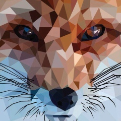 Юлия Пронина, 02.03.1987, Москва