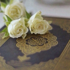 Наурызбек Жұмауғалиұлы, Кульсары