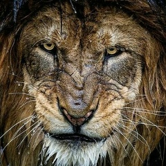 Самед Исаев, Астрахань