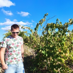 Юрий Бородкин