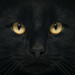 Светлана Кужлева, 05.06.1981, Кунгур