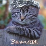 Владимир Сергиенко, 27.05, Черкассы