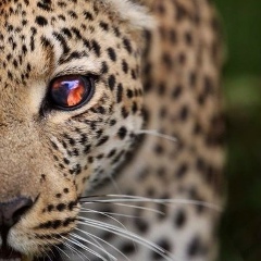 Vlad Khegay, 17.10.1991, Vancouver