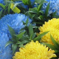 Надія Тарасюк, 02.02, Ковель