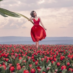 Камилла Файз, 14.12