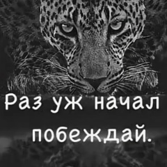 Лисааааааа Фейзрахманова, Москва