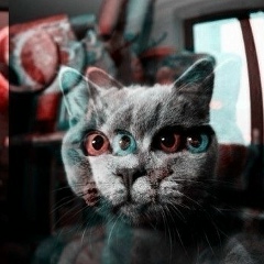 Илья Кап, 01.04, Санкт-Петербург