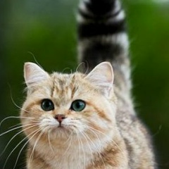 Маша Иванова, 02.10.1989