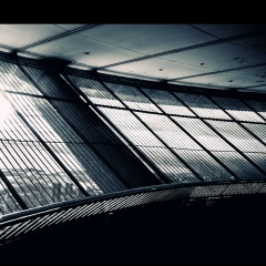 Дмитрий Лопатин, Киев