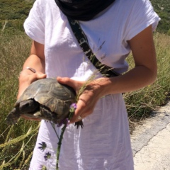 Лиза Решетникова, 12.02.1987, Москва