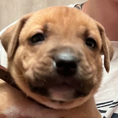 Сержан Жаманкулов, 01.12, Шымкент