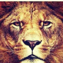 Умар Арасханов, 01.02, Грозный