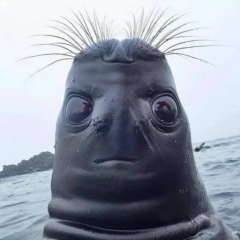 Александр Петров, 14.12, Санкт-Петербург