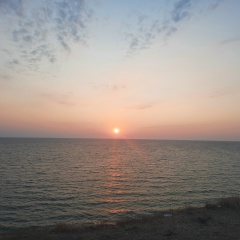 Юлия Стёпина