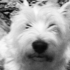 Олег Хлебников, 21.06, Усинск