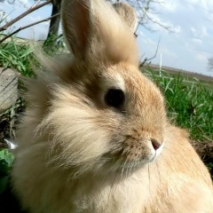 Ольга Зайцева, 07.08.1990, Оренбург