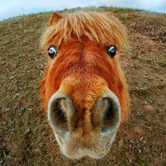 Наталия Салтыкова, Москва