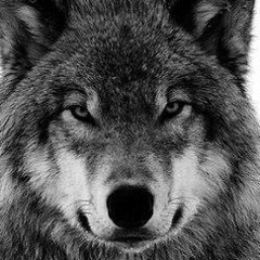 Джабраил Матиев, 13.10.1992, Нижнекамск