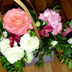 Елена Струкова, Москва