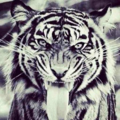 Анастасия Классен, 28.11