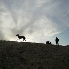 Владимир Александров, 01.06.1987, Воронеж