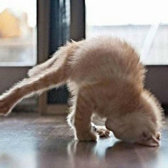 Расима Казиева, Астана