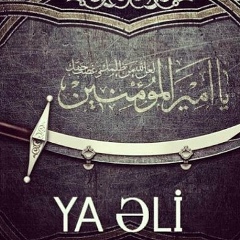 Эльчин Фатуллаев, 08.12, Санкт-Петербург