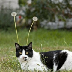 Oksana Brychuk, 11.06