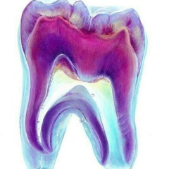 Tunuk Mukambetova, 16.05.1994, Бишкек