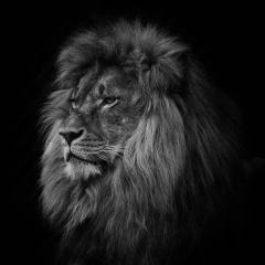 Иван Цымбалюк, 29.07, Москва