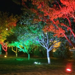 Лара Хурцаева, 02.10.1986, Москва