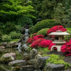 Яна Бурмистрова, 10.12.1979, Санкт-Петербург