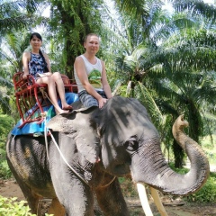 Дмитрий Трапезников, 24.09, Йошкар-Ола