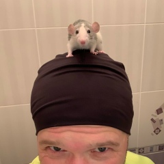 Чепаш Киселев, 17.08, Санкт-Петербург