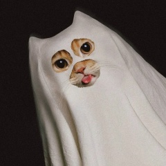 Вика Перфеева