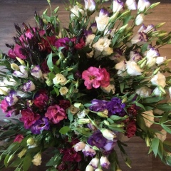 Анастасия Старикова, 11.03