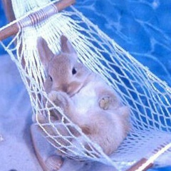 Зарина Звездочка, 02.09.1983, Астана