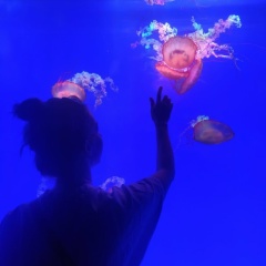 Мария Русанова