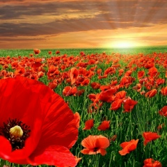 Klara Turkmenbaeva, 03.03.1999, Актау