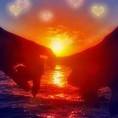 Амина Мачинова, 05.06