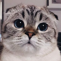 Александр Котов, 07.10, Москва