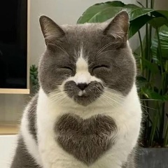 Александр Швецов, Москва