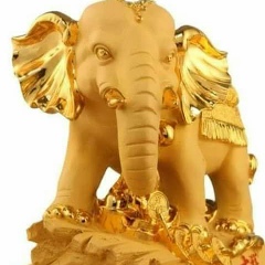 Wai Pulla, 29.07.1986