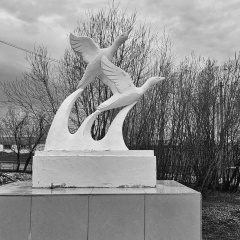 Наталья Бибишева