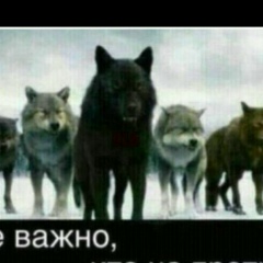 Баталов Сайдхамзат, 14.03.1988