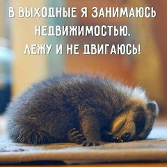 Данияр Конаков, 10.04.1985, Алматы