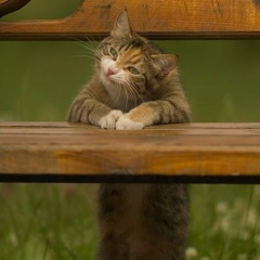 Виталик Ростовский, 27.02.1985, Ростов-на-Дону