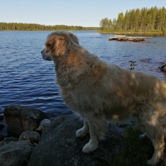 Татьяна Быстрова, 08.08.1978, Сегежа