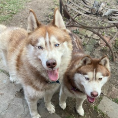 Иван Киевицкий, 07.09.1988, Софрино-1