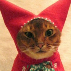 Наталья Любимова, 21.03, Санкт-Петербург